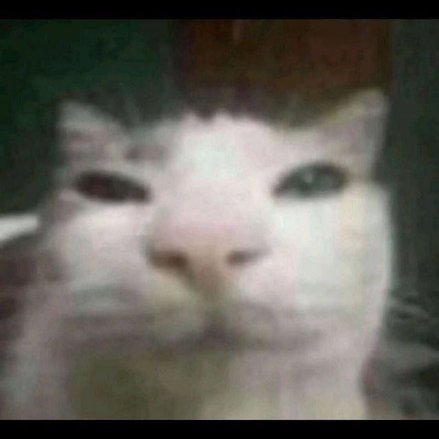 MeToilet